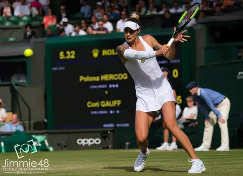 Polona Hercog Wimbledon 2019