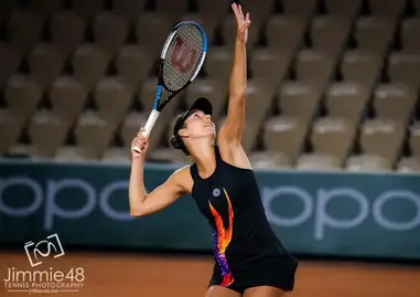 Women's Size 8 40 Lacoste Sport Roland Garros Pleated Tennis Dress