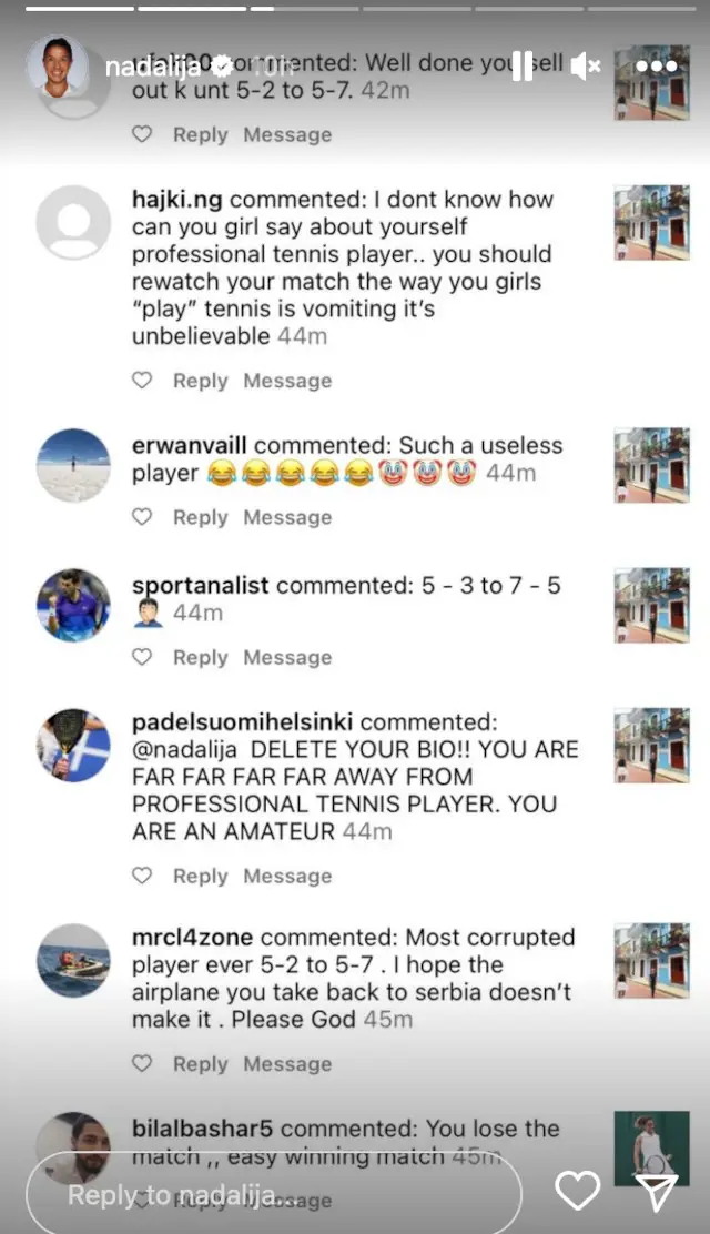 Screenshot of insulting comments Stevanovic received on Instagram