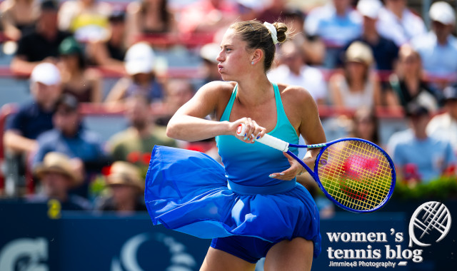 Marta Kostyuk's beautiful Wilson tennis dress