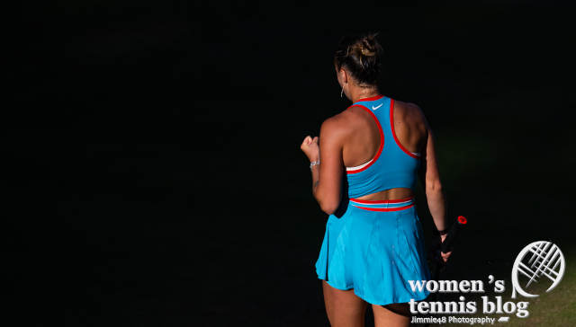 Back of Aryna Sabalenka's blue Roland Garros dress